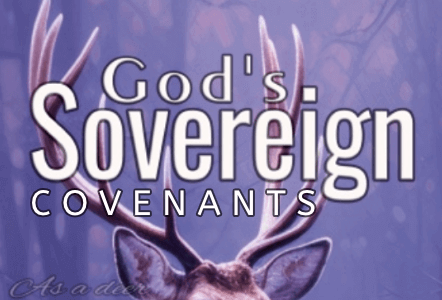 Store; Courses; Featured show