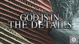 God, the designer of the universe.